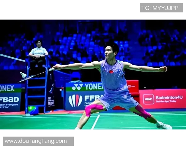 羽毛球顶级赛事回顾与未来展望