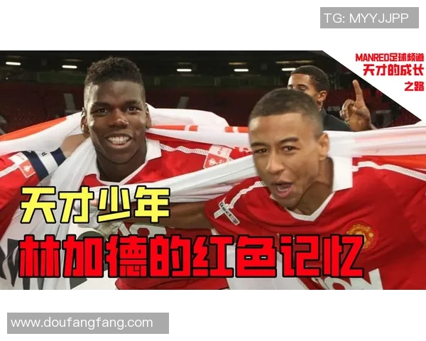 全明星背后的故事：从少年到巨星之路